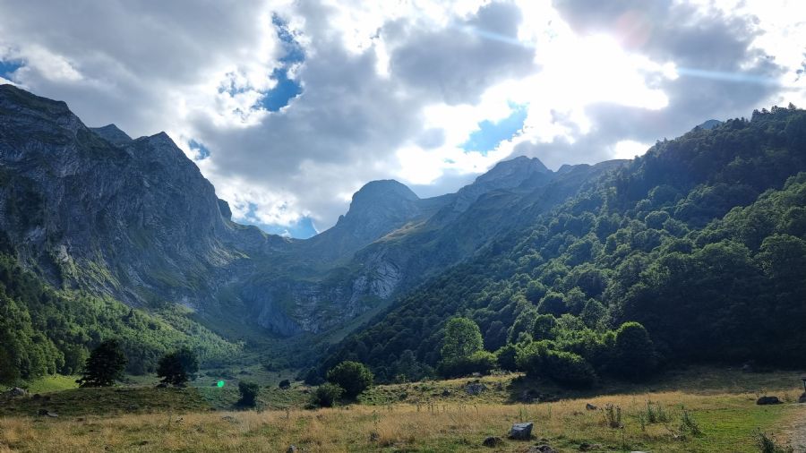 ארטיגה דה לין